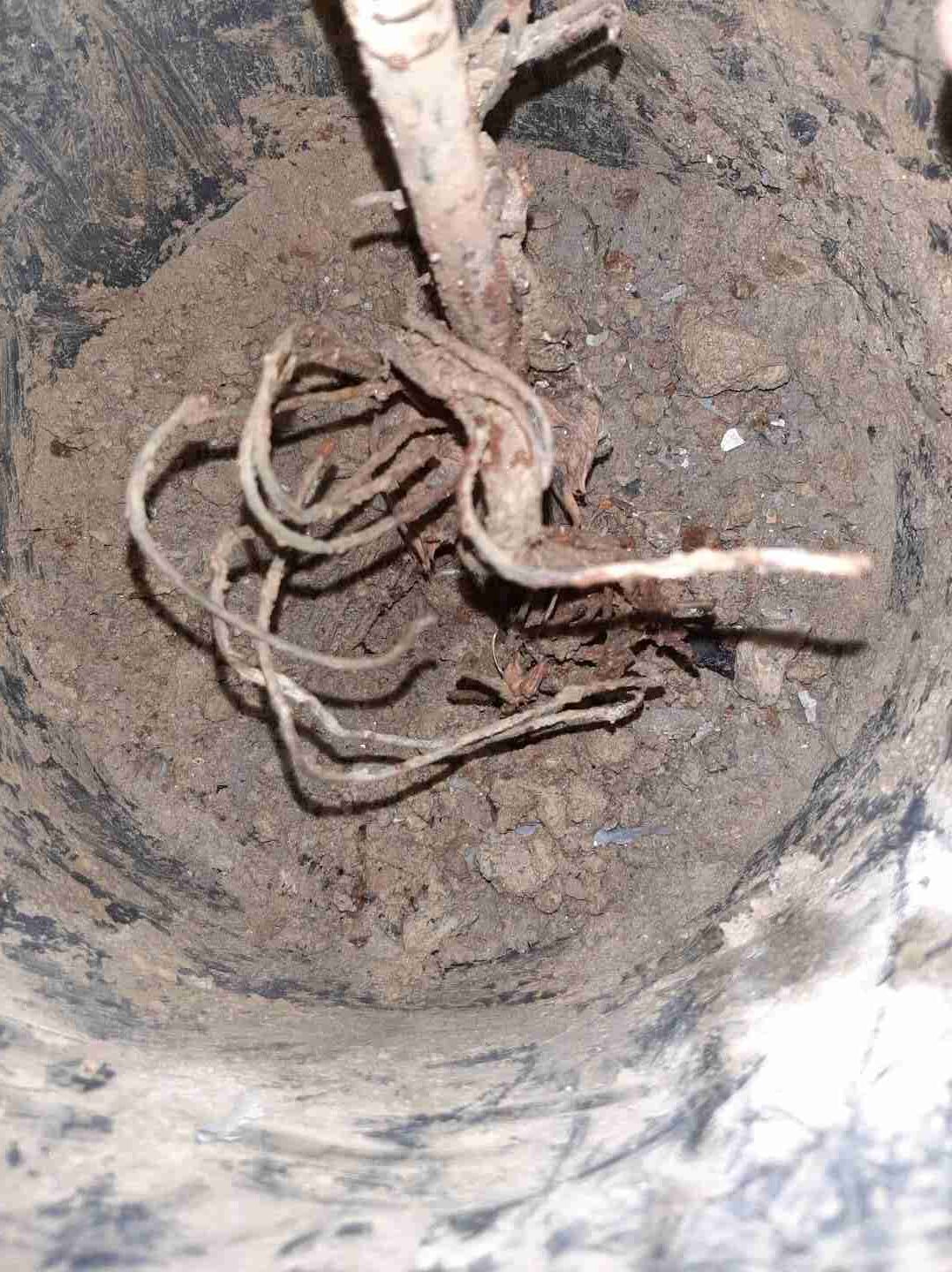 laudo do aterramento elétrico e do para-raios spda